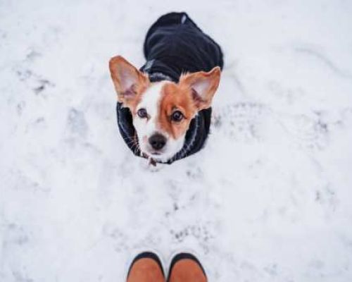 Verdauungsgesundheit im Winter: Problemen vorbeugen und sie bewältigen
