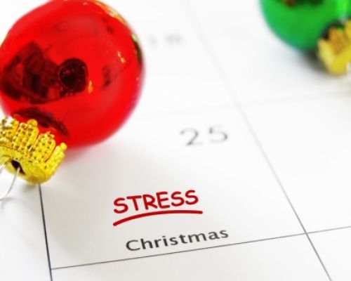 Stress bei Haustieren und seine Auswirkungen auf den Darm während der Feiertage