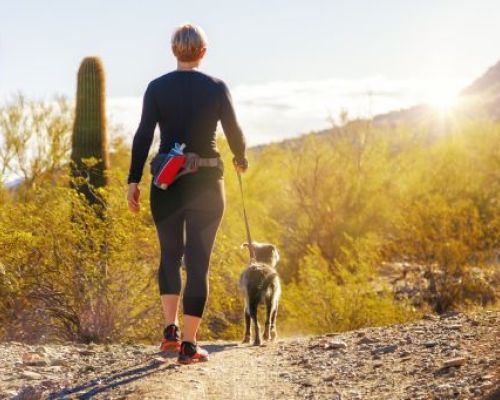 Frühlingsaktivitäten mit Ihrem Hund